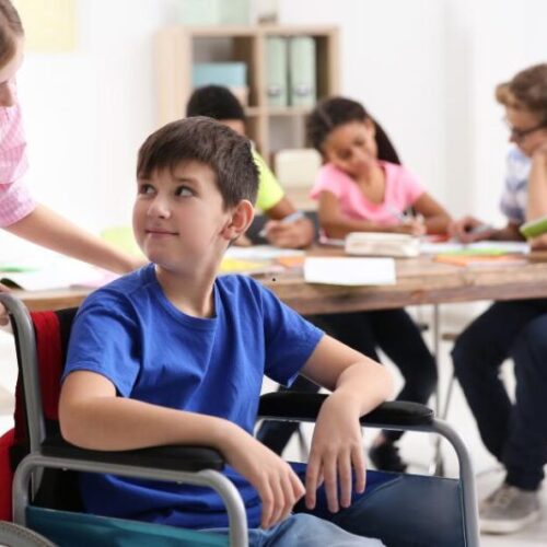 Educação inclusiva: o papel das escolas na formação acessível